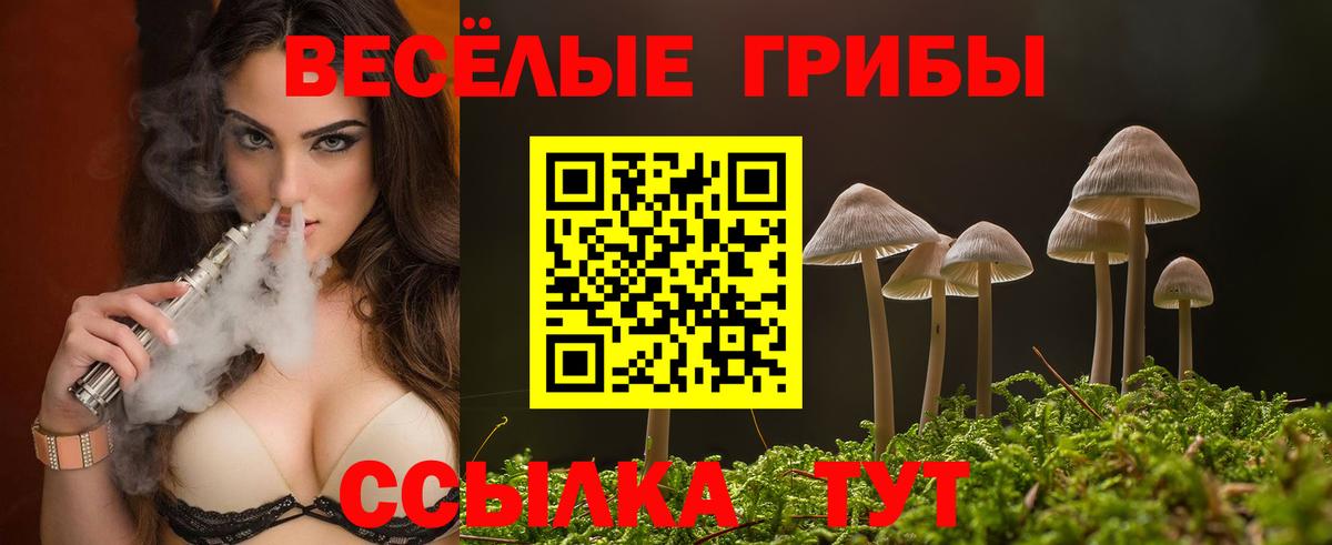Галлюциногенные грибы Psilocybine cubensis  Вход с VPN  Сегежа 